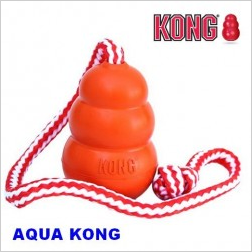 Aqua kong