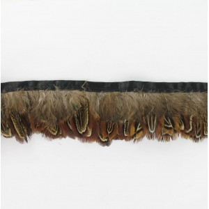 Galon plumes