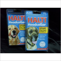 Halti