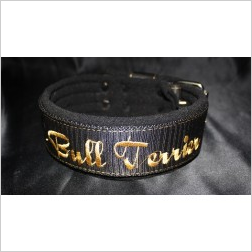 Mag bull terrier winter interne
