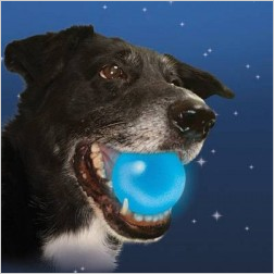 Météor K9