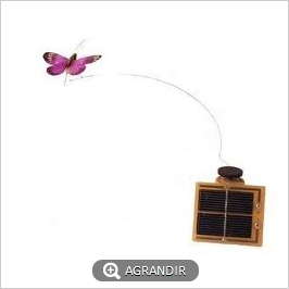 PAPILLON SOLAIRE 8 cm