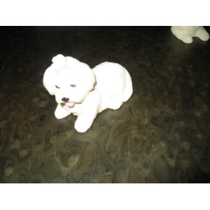 PETIT CHIEN