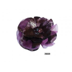Pince à cheveux  ou Broche