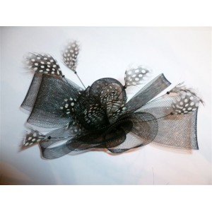 Pince à cheveux  ou Broche