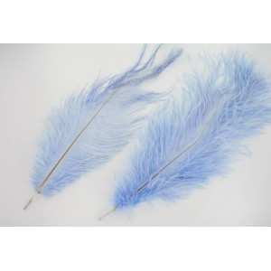 Plumes d'autruche