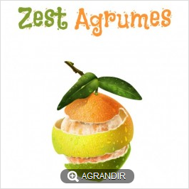 RECHARGE E-LIQUIDE GOUT AGRUMES