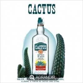 RECHARGE E-LIQUIDE GOUT CACTUS